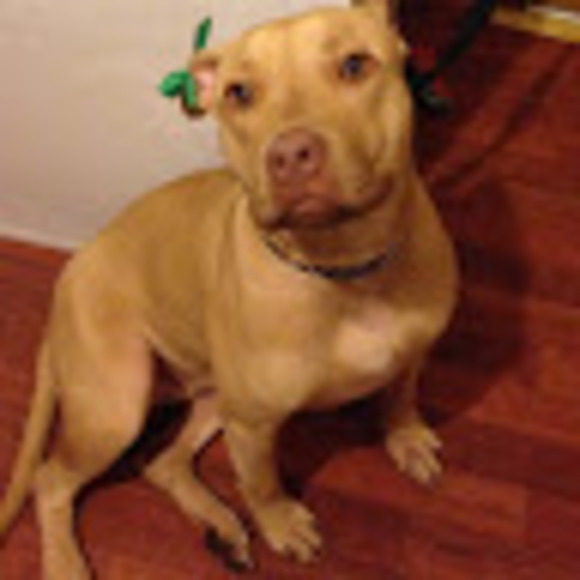 Meet your Posher, Jo anna - Picture 1 of 1